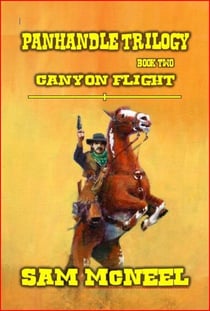 Panhandle Trilogy - Canyon Flight - Panhandle Trilogy, #2