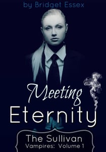 Meeting Eternity (The Sullivan Vampires, Volume 1) - Sullivan Vampires, #1