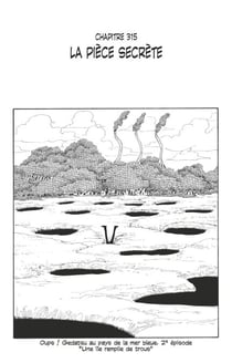 One Piece édition originale - Chapitre 315 - La pièce secrète