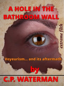 A Hole in the Bathroom Wall