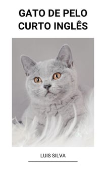 Gato de Pelo Curto Inglês
