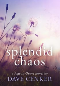 Splendid Chaos - A Pigeon Grove Novel, #2