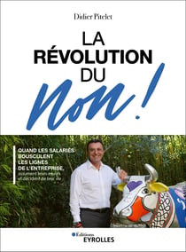 La révolution du Non ! - Quand les salariés bousculent les lignes de l'entreprise, assument leurs envies et décident de leur vie