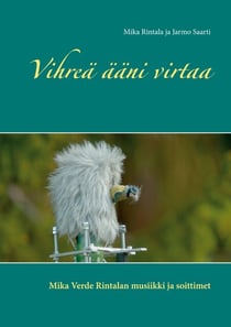 Vihreä ääni virtaa - Mika Verde Rintalan musiikki ja soittimet