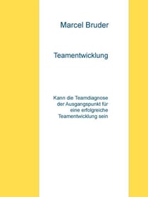 Teamentwicklung - Kann die Teamdiagnose der Ausgangspunkt für eine erfolgreiche Teamentwicklung sein