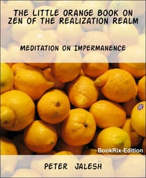 The Little Orange Book on Zen of the Realization Realm - Meditation on Impermanence