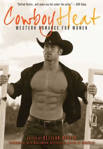 Cowboy Heat - Western Romance for Women