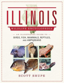 The Illinois Wildlife Encyclopedia - An Illustrated Guide to Birds, Fish, Mammals, Reptiles, and Amphibians