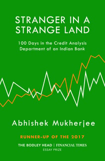 Stranger in a Strange Land - 100 Days in the Credit Analysis Department of an Indian Bank