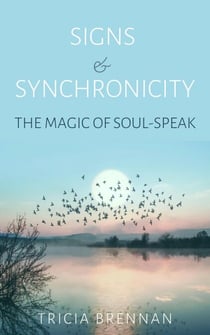 Signs & Synchronicity - The Magic of Soul Speak