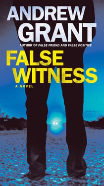 False Witness - A Novel
