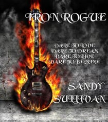 Iron Rogue Box Set - Iron Rogue