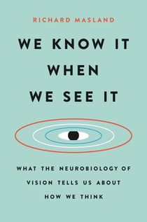 We Know It When We See It - What the Neurobiology of Vision Tells Us About How We Think