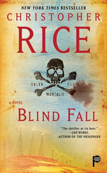 Blind Fall - A Novel