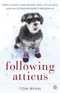Following Atticus - How a little dog led one man on a journey of rediscovery to the top of the world