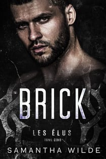 Brick (French Edition) - Les Élus, #5