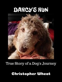 Darcy's Run - Tales from N. Park Ave.