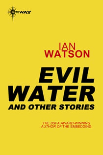 Evil Water: And Other Stories - And Other Stories