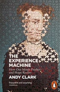 The Experience Machine - How Our Minds Predict and Shape Reality