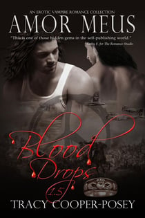 Amor Meus - Blood Stone, #1.5