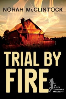 Trial by Fire - A Riley Donovan mystery