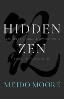 Hidden Zen - Practices for Sudden Awakening and Embodied Realization