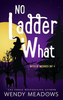 No Ladder What - Witch of Wickrock Bay, #4