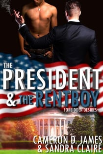 The President And The Rentboy - Forbidden Desires, #3