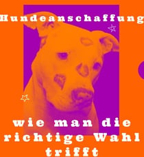 Hundeanschaffung - Wie man die richtige Wahl trifft