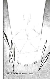 Bleach - T31 - Chapitre 276 - Blockin' Beast