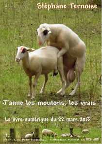 J'aime les moutons, les vrais - Le livre numérique du 22 mars 2013