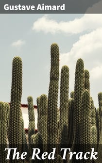 The Red Track - A Story of Social Life in Mexico