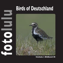 Birds of Deutschland - fotolulus Bildband IX