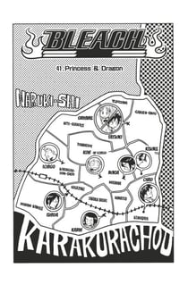 Bleach - T05 - Chapitre 41 - Princess & Dragon