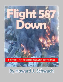 Flight 587 Down