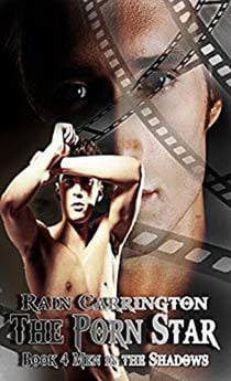 The Porn Star - Men in the Shadows, #4