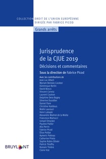 Jurisprudence de la CJUE 2019 - Décisions et commentaires