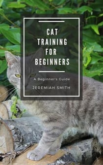 Cat Training For Beginners - For Beginners