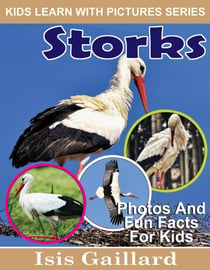Storks Photos and Fun Facts for Kids - Kids Learn With Pictures, #95