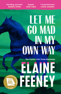 Let Me Go Mad in My Own Way - The new novel about family history, love and second chances from the Booker Prize longlisted author