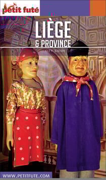 Guide Liège Et Sa Province 2019/2020 Petit Futé