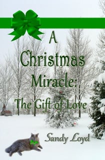 A Christmas Miracle: The Gift of Love - Christmas Miracle Series, #2