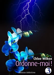 Ordonne-moi ! - vol. 3