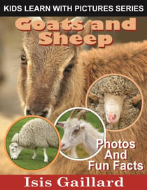 Goats and Sheep Photos and Fun Facts for Kids - Kids Learn With Pictures, #118