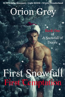First Snowfall, First Temptation (A Snowfall of Desire, Book One) - A Snowfall of Desire, #1