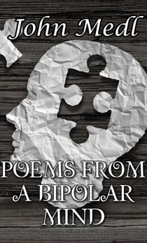 Poems from a Bipolar Mind: A Collection of Journal Entries Related to Mental Illness and Bipolar Disorder - Workings of a Bipolar Mind, #2