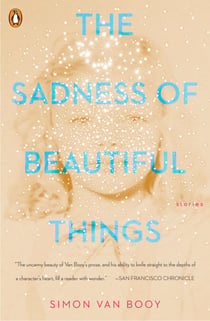 The Sadness of Beautiful Things - Stories