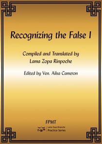 Recognizing the False I eBook