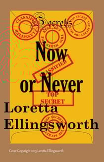 Now or Never - Secrets, #2