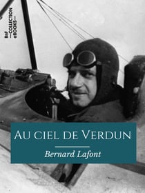 Au ciel de Verdun - Notes d'un aviateur